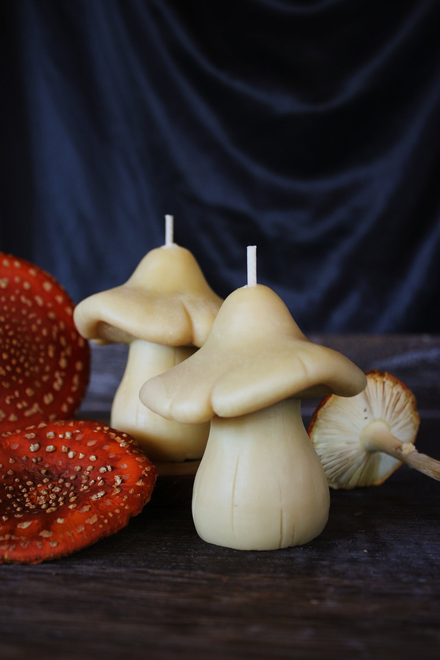 The Mushroom | Beeswax-Soy Candle
