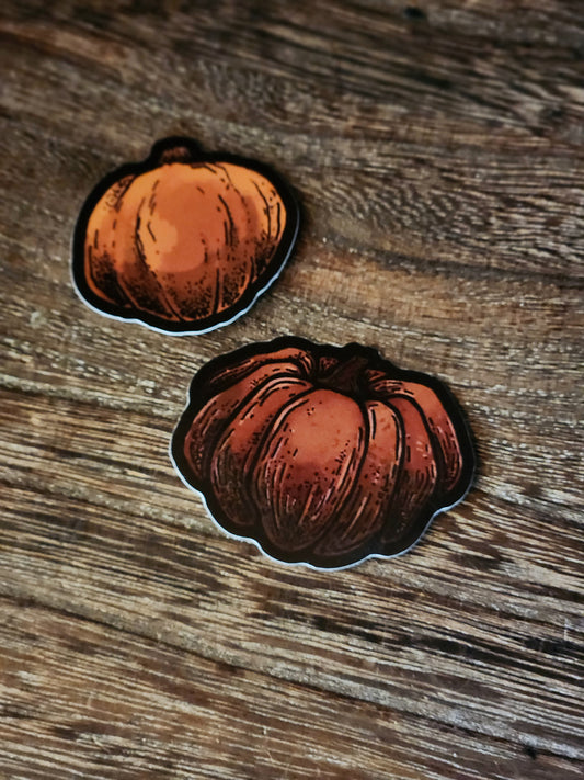 Pumpkin Vinyl Stickers | Pair