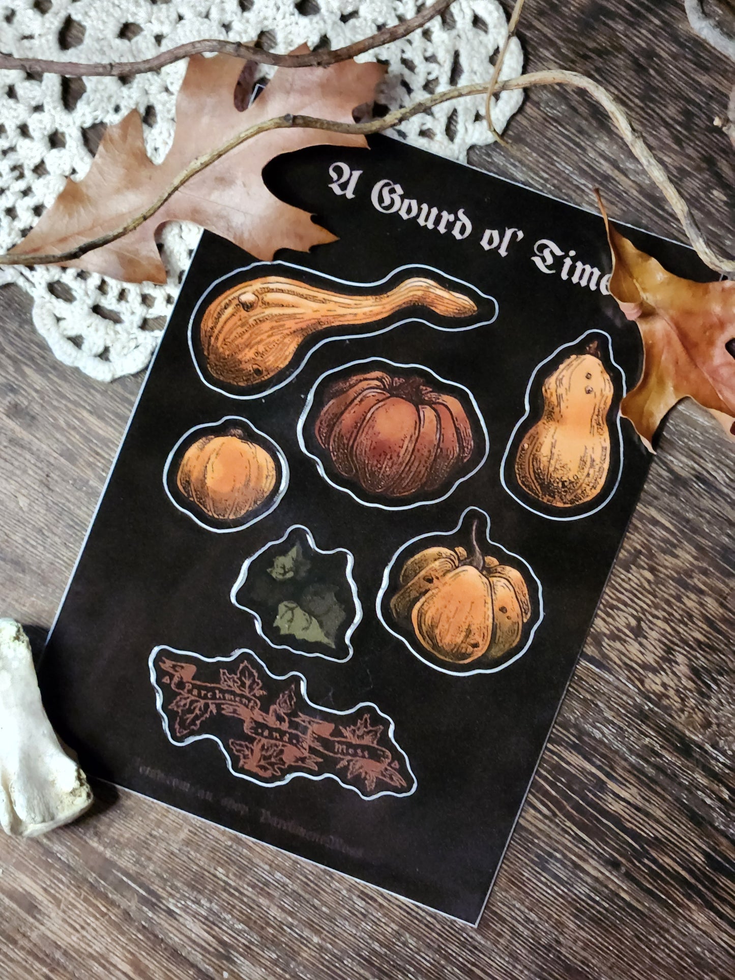 A Gourd 'Ol Time | Vinyl Sticker Sheet