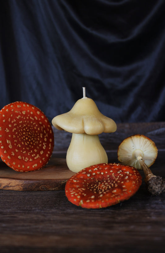 The Mushroom | Beeswax-Soy Candle