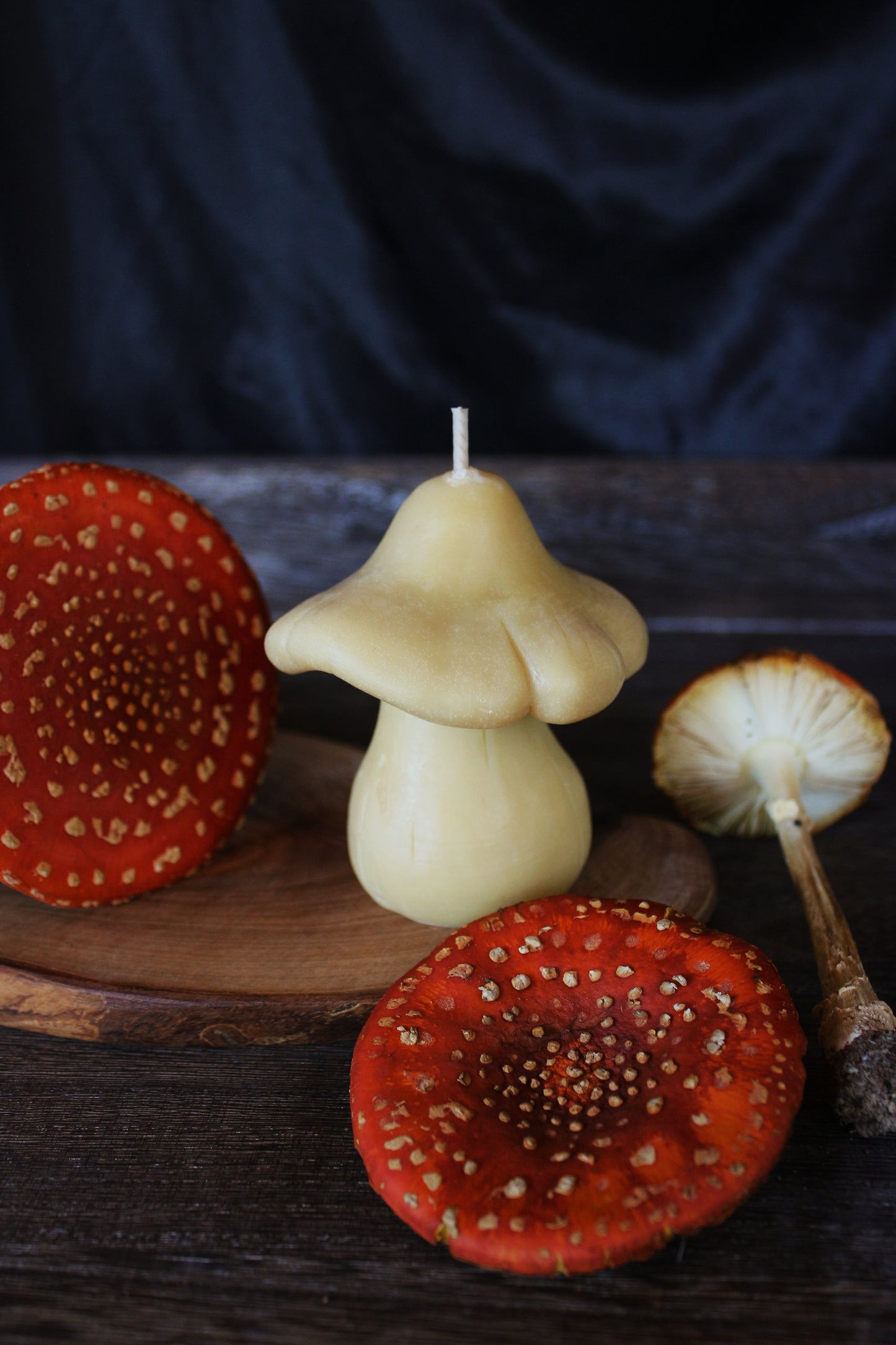 The Mushroom | Beeswax-Soy Candle